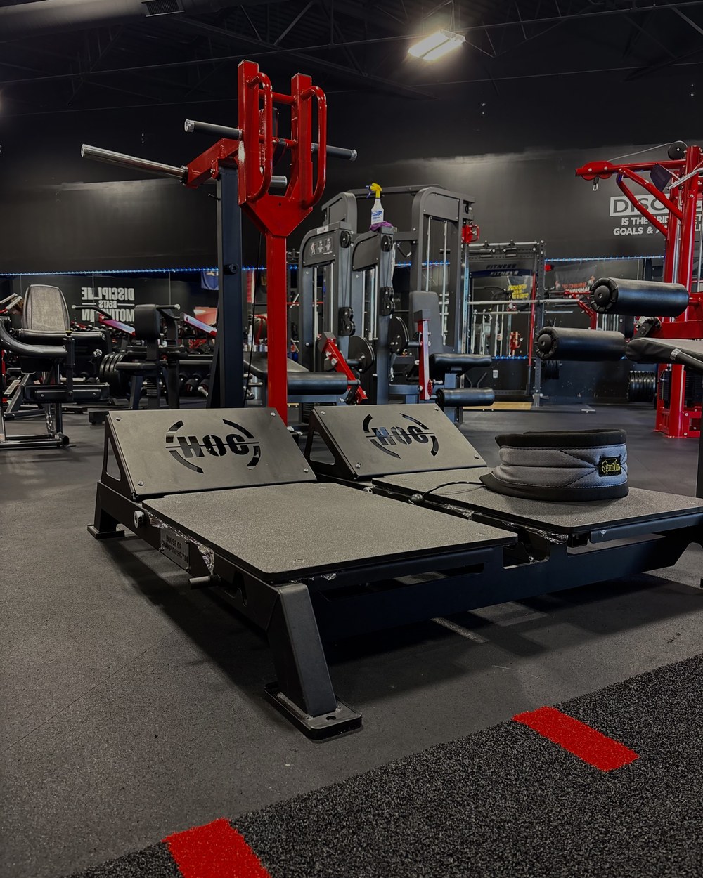 Belt Squat at House of Champions Gym